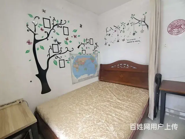 吉大 新天地大厦 精装 温馨 干净整洁 拎包入住 - 图片 3