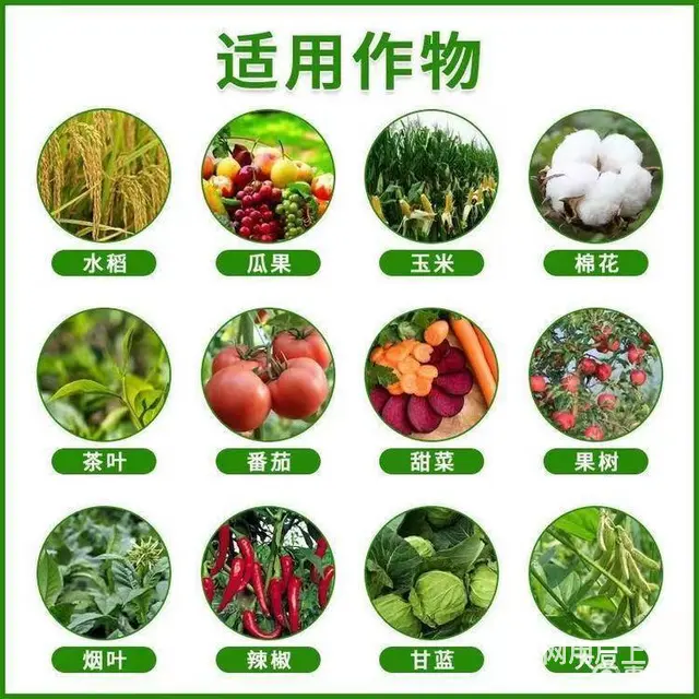 16%甲维茚虫威小菜蛾青虫吊丝虫杀虫剂稻纵卷叶螟 - 图片 1