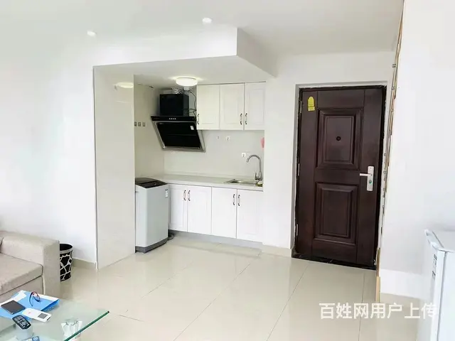 龙鼎万达 复式一房  公寓1厅 精装修 - 图片 3