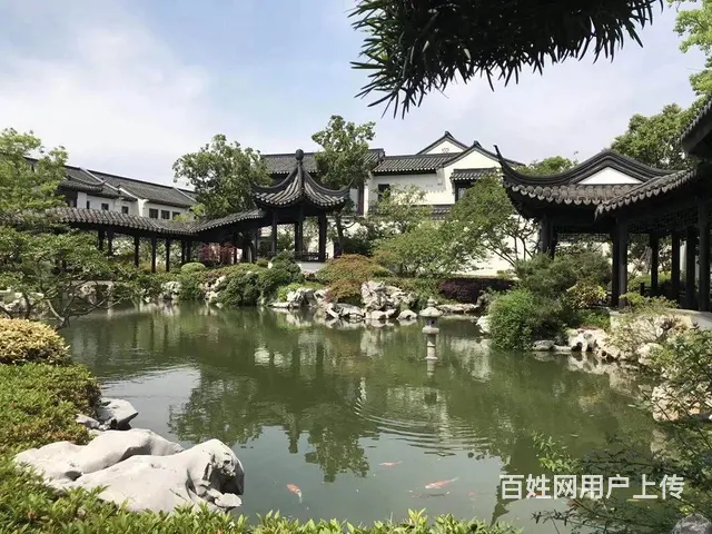 苏州买卖锦鲤鱼金鱼批发 - 图片 3