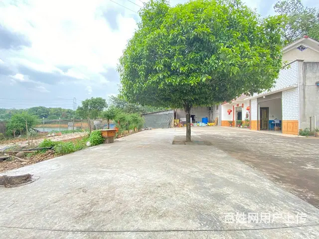 (房东直租)秋江线旁30亩鱼塘，带15亩房屋场地出租，可分租 - 图片 5