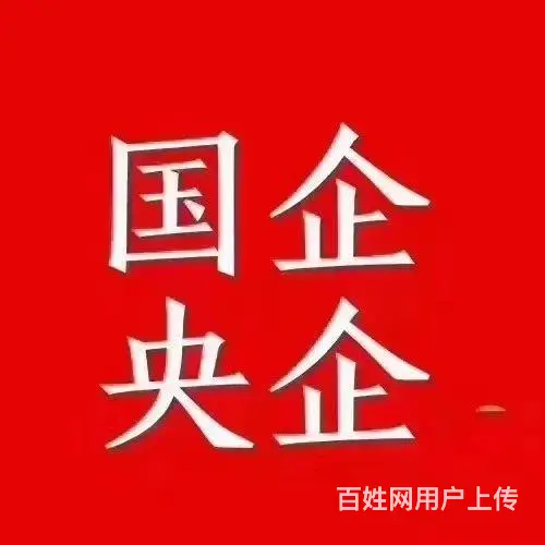 沈阳打工，欧洲塞尔维亚援建工人国企 - 图片 1