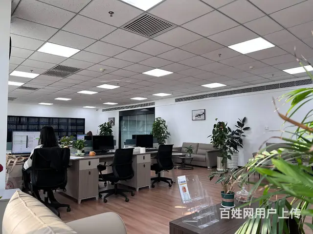 沈阳代账公司哪家正规靠谱 - 图片 2