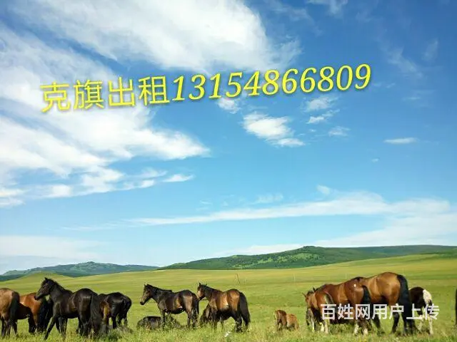 克旗包车 - 图片 5