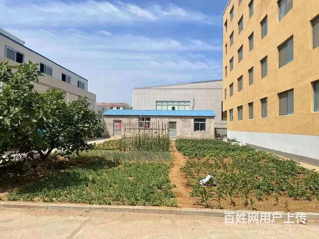 张村东夼独门独院小型加工车间和配套宿舍楼招租 - 图片 2
