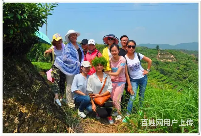 长春茶艺培训问天晟茶艺培训学校：茶艺培训班招生简章 - 图片 4