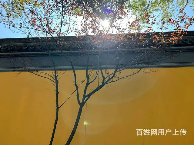 初级会计职称考试-面授试听课 - 图片