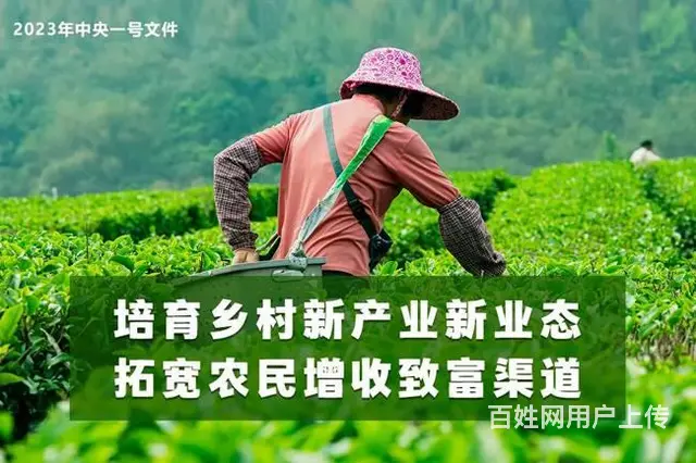 德生科技以科技创新助力数字乡村振兴 - 图片