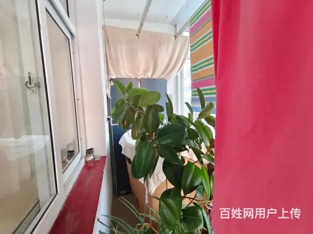 金华双本部！下楼即到校！精装两室非顶层 南北通透 老证可贷款 - 图片 10