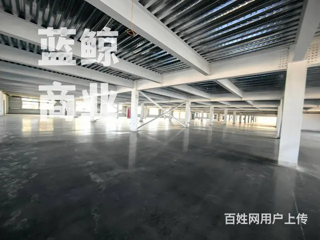 开发区2万平厂房可分组 - 图片 4