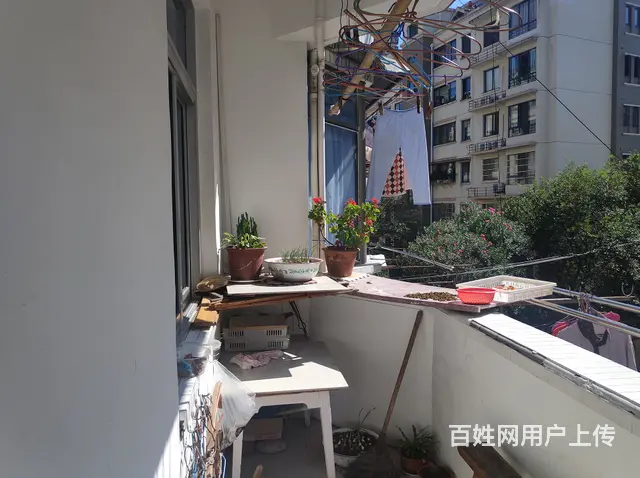 塑料机械厂宿舍 普通住宅 中等装修房屋出售 - 图片 10