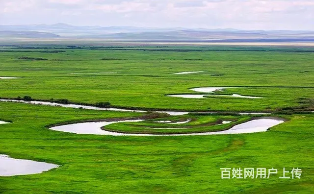 呼伦贝尔大草原旅游自由行包车找常师傅靠谱 - 图片 7