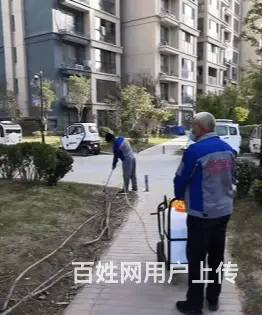 睢阳灭鼠丶欢迎上门查看资质 - 图片 1