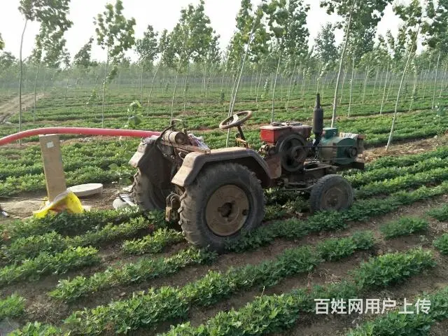 四轮车+发电机 - 图片