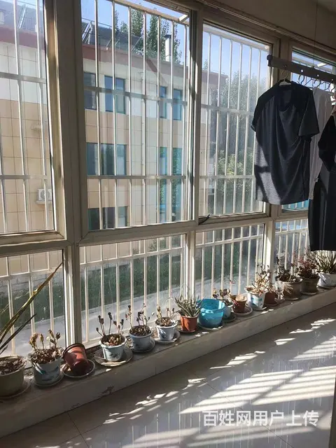 沿河小区 普通住宅 精装修 - 图片 5