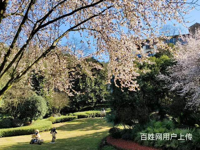 江津东胜避暑房 - 图片 6