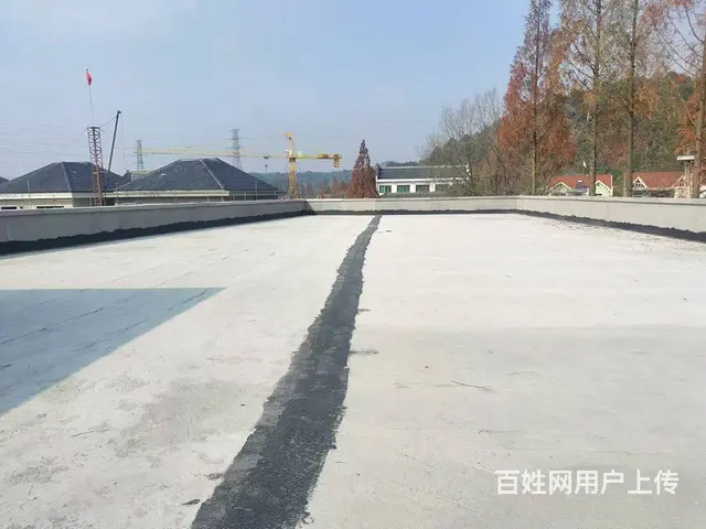 萧山区进化1400方新建独院厂房、仓库出租（租金优惠） - 图片 5