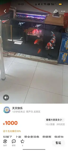 玩够了上岸 - 图片 2
