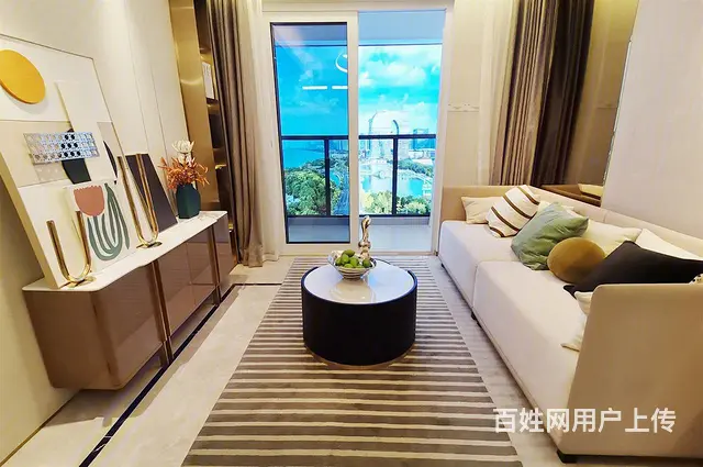 总价100万左右，精装交付，送车位，送软装 - 图片 1