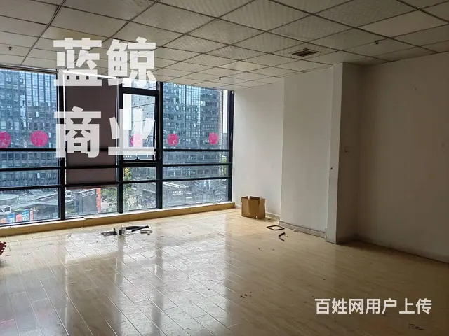绿地商务城蓝海150平高层南向纯办公出租 - 图片 11