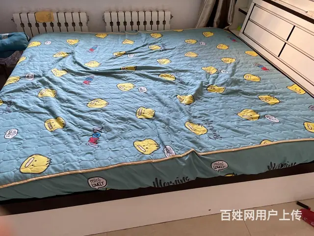 卖床，9成新，900带床垫 - 图片 1