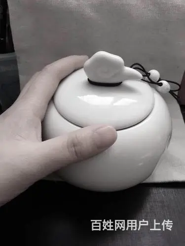 珠海市宠物火化多少钱-珠海市宠物火化费用一览表 - 图片 4