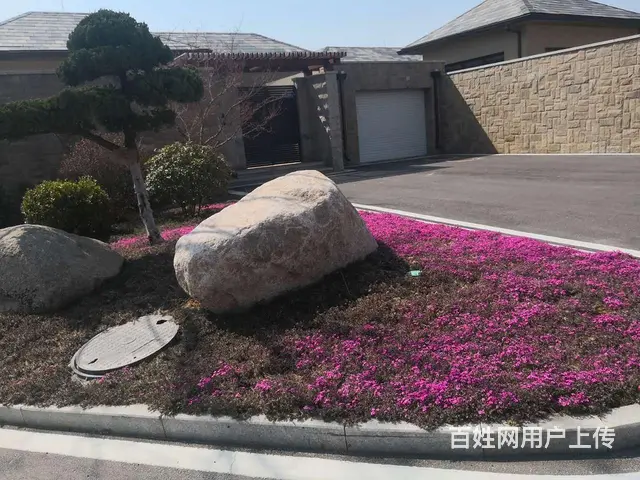 威海临港新地威登小镇平层别墅欲购从速 - 图片 12