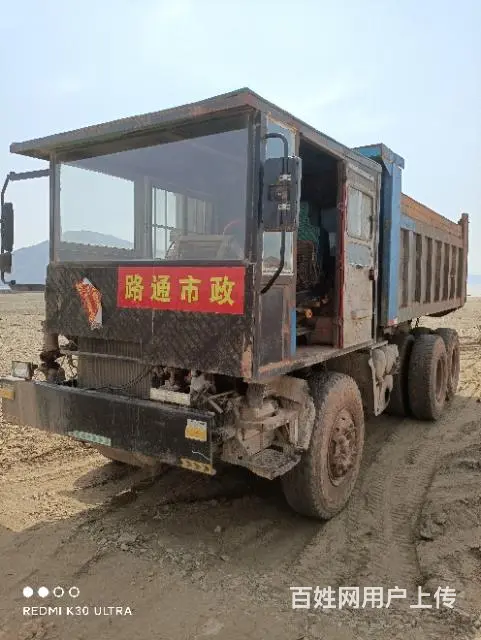 精品双桥大四不像转让 - 图片 4