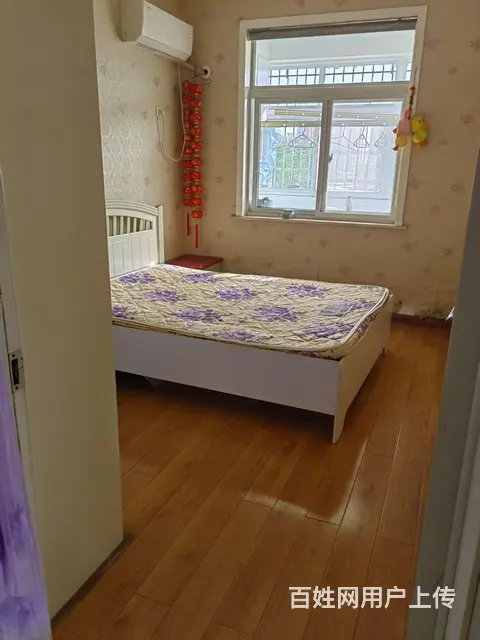  - 图片 6