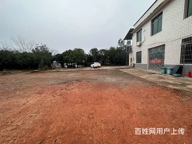 （老板本人）岳麓区含浦场地带整栋房屋出租  6167 - 图片 4