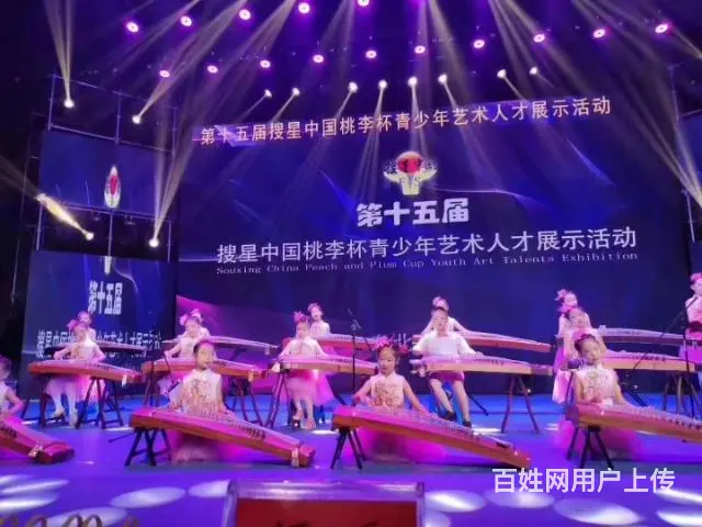 沈阳找专业古筝培训 - 图片 9
