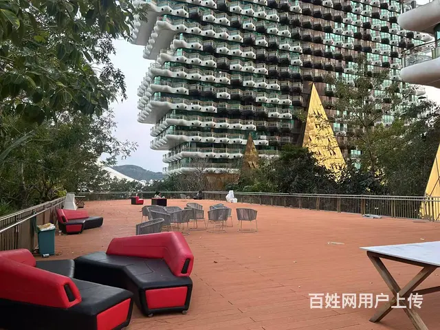 （51旺铺推荐）美丽之冠50间民宿转让 - 图片 11