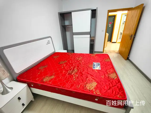 华创国际后面 伍家岭带燃气 全新精装两房 国庆新村 租金 - 图片 3
