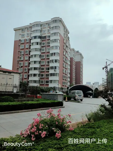 日短租国际金海滩浴场海鲜市场山大哈工大帝王宫利群 - 图片 4