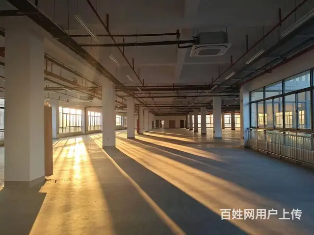高新区厂房出租，配套齐全，各种补贴 - 图片 11