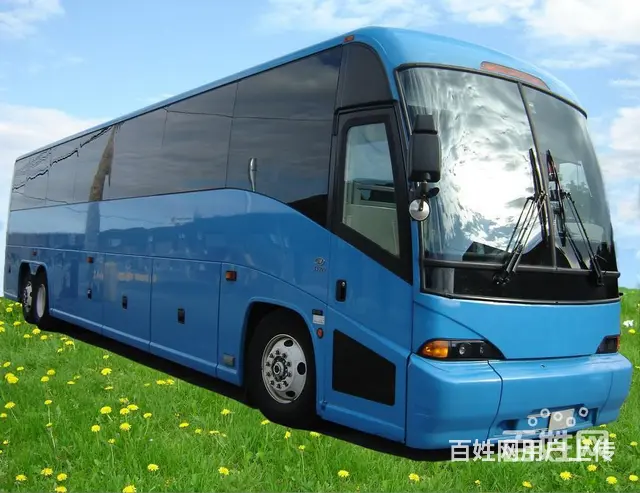常州宠物托运怎么收费/宠物专车上门接送 - 图片 7