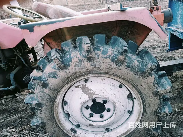 出售高花胎。 - 图片 2