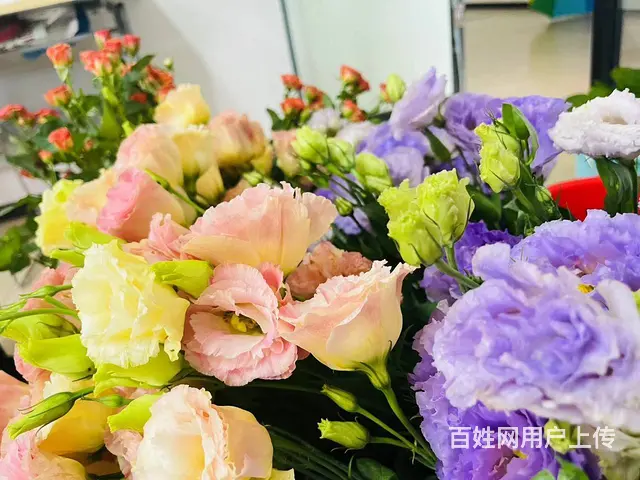 苏州花艺师学多久可以自己开店 - 图片 2