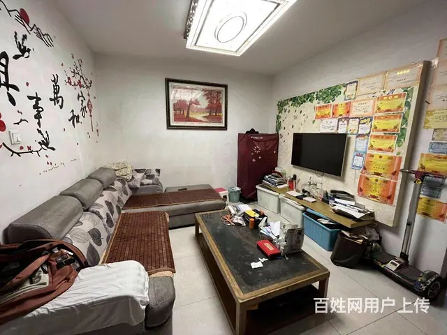 先锋东外滩 业主急售 精装小两房 满五   户型周正采光好 - 图片 5