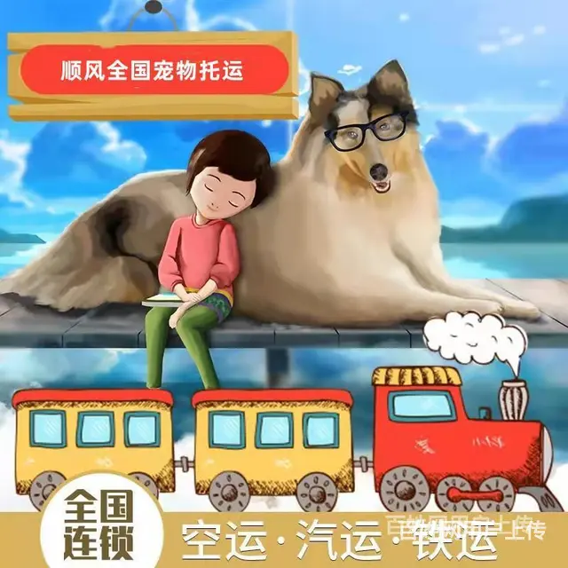 2022兰考县宠物托运（猫狗）邮寄快递（宠物活体运输新*闻） - 图片 2