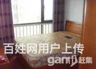 百色市右江区新兴路丽阳天下小区 公寓1厅 精装修 - 图片