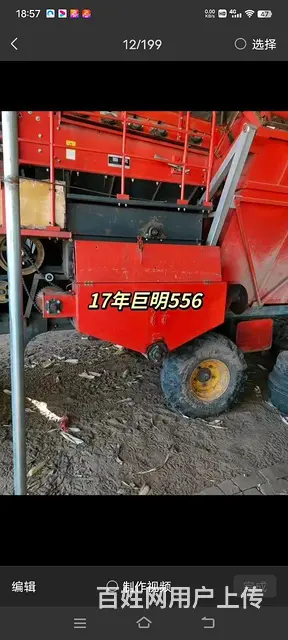 17年巨明556 - 图片 1
