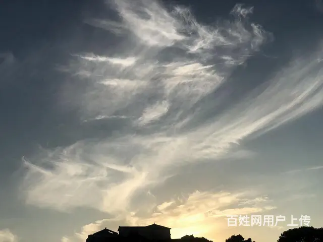 19年贝纳利黄龙300换车转让 - 图片 10