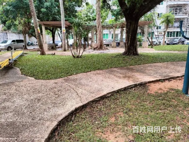 出售南沙路  明珠星苑3房电梯房 - 图片 9