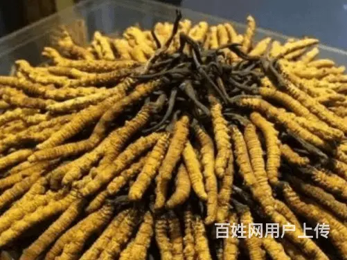 枝江各类茅台酒回收本地名酒老酒回收 - 图片 1