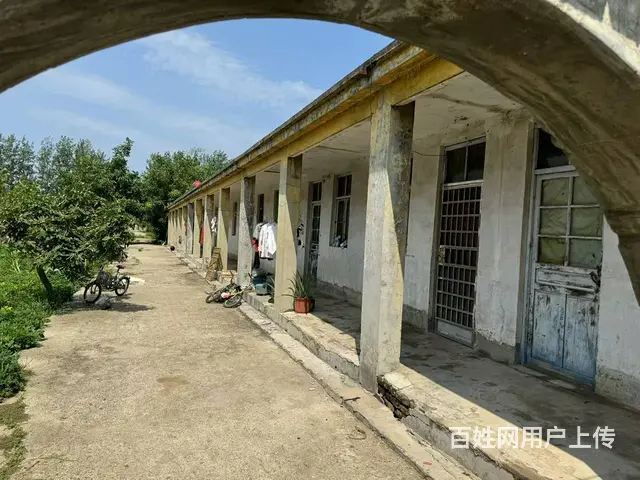 （城市在线找房免费）邳州邢楼厂房（土地）出租 或转让 - 图片 5