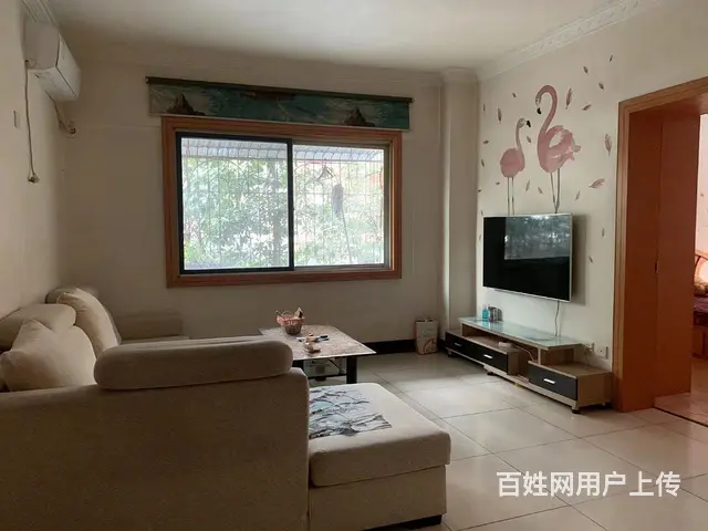 二医院旁两室两厅出租 - 图片 3