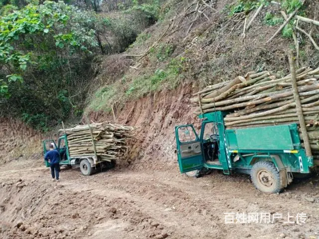 【搞定了！】前后驱转让车子不等人  自己把握机会。 - 图片 3