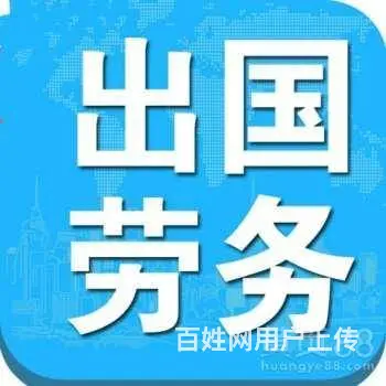 澳洲直招 （无费用）年薪60万华人雇主担保工签 - 图片