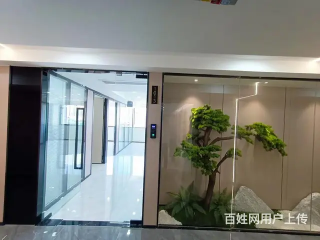 免佣金 鹭江道轮渡 海光大厦 整层商务精装2个隔间 多套急租 - 图片 8